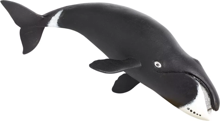 Safari Ltd. figurka wieloryba grenlandzkiego