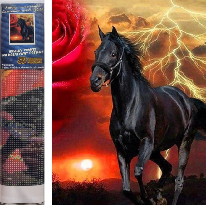 Zestaw do malowania diamentowego - czarny ogier