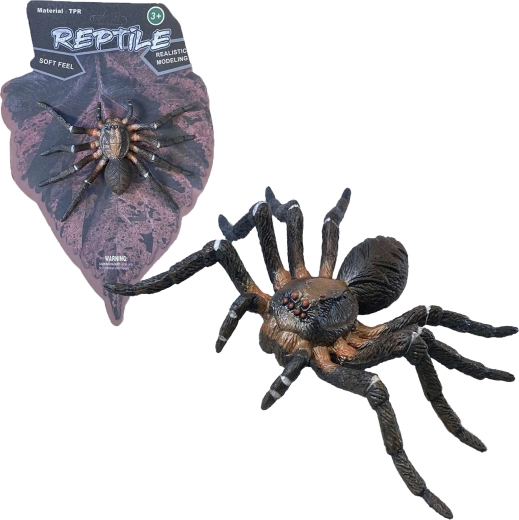 Żywa przyroda: Wolf Spider – realistyczny model pająka (12 cm)