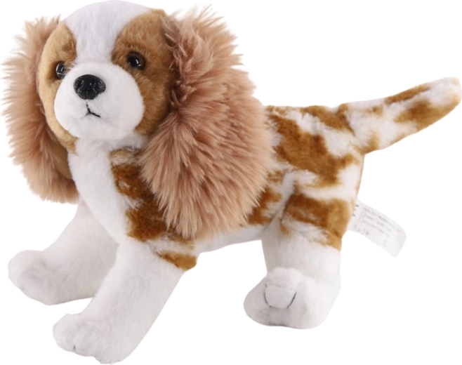 Pluszowy pies Cavalier King Charles spaniel 26 cm