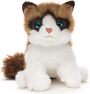 Pluszowy kot Ragdoll 18 cm