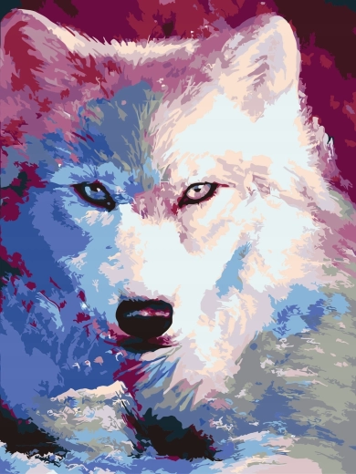 Malowanie po numerach Cienie białego wilka 40 × 50 cm