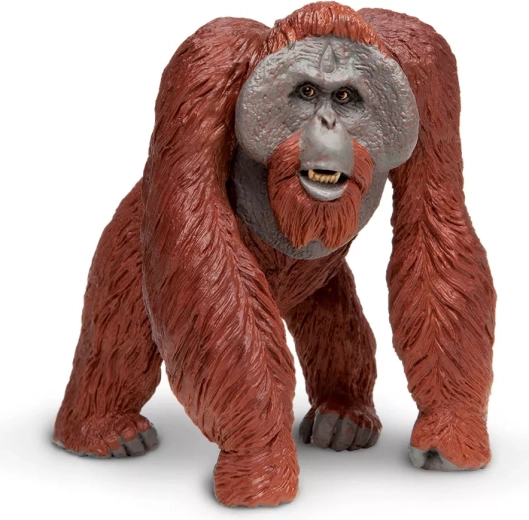 Figurka orangutana borneańskiego Safari Ltd.