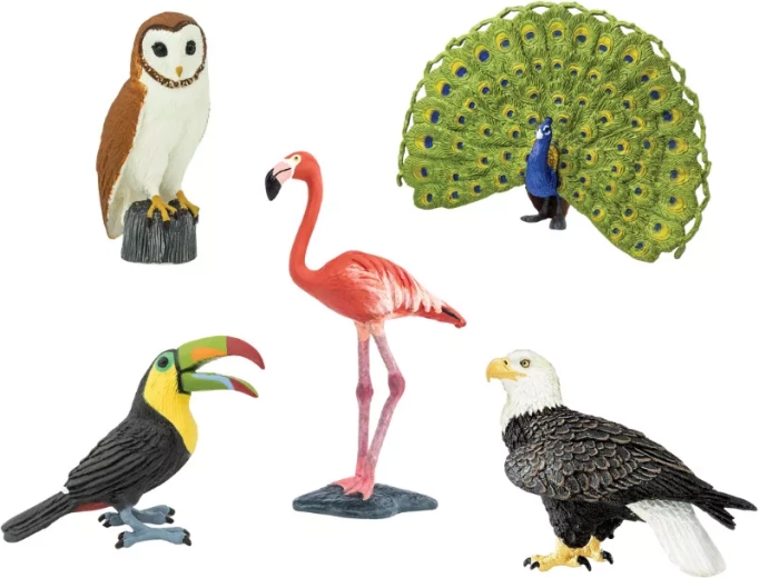 Safari Ltd. figurki ptaków - 1 szt.