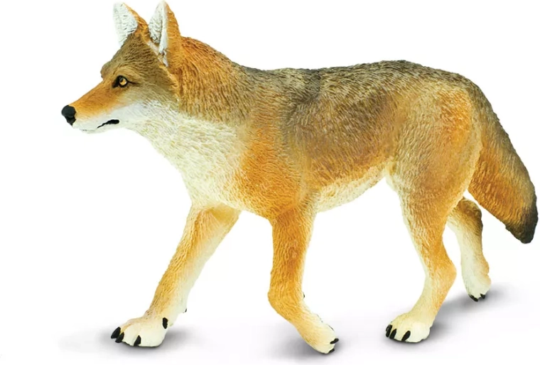 Safari Ltd. figurka kojota – 1 szt.