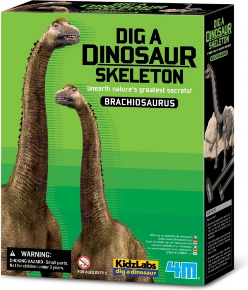 Zestaw wykopaliskowy - Brachiosaurus