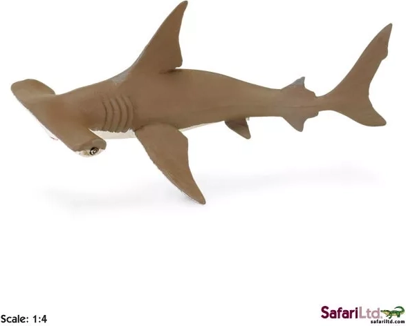 Safari Ltd. młode żarłacza młotowatego brązowego