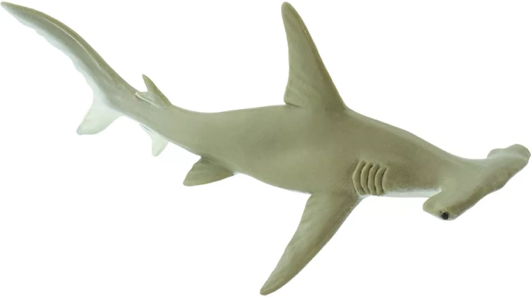 Safari Ltd. rekin młot brązowy figurka - 1 sztuka