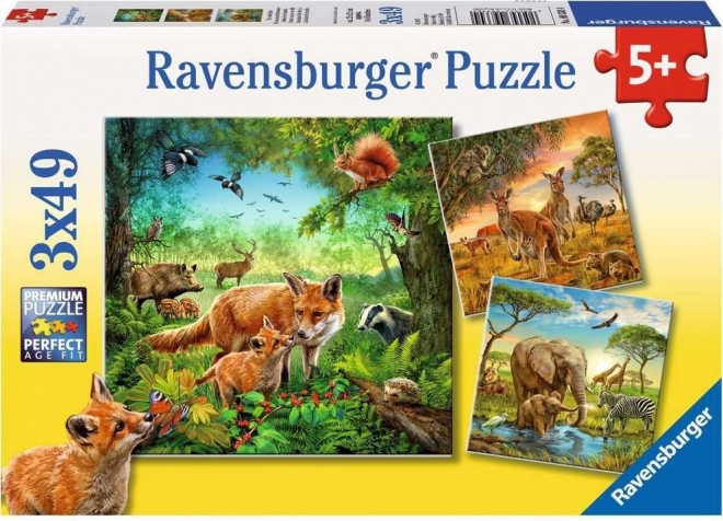 Ravensburger puzzle Zwierzęta 3×49 elementów
