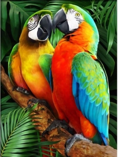 Mozaika diamentowa (diamond painting) Kolorowe papugi 30 × 40 cm