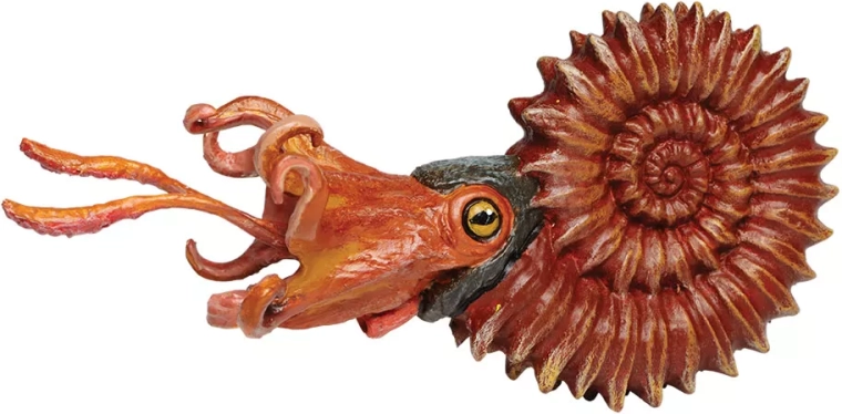 Safari Ltd. amonit – ręcznie malowana figurka