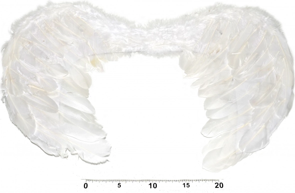 Anielskie skrzydła do kostiumu