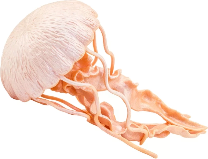 Figurka meduza Safari Ltd. – 1 szt.