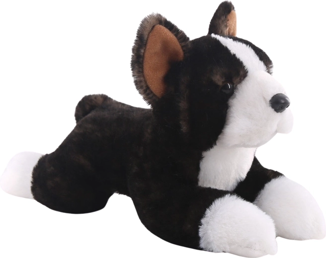 Pluszowy bostonski terrier 25 cm