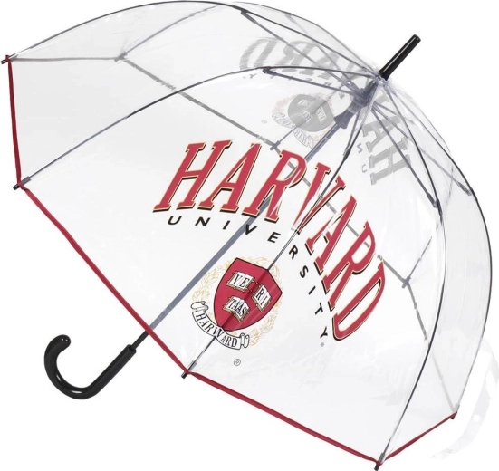 Przezroczysty parasol XL Harvard - 1 sztuka