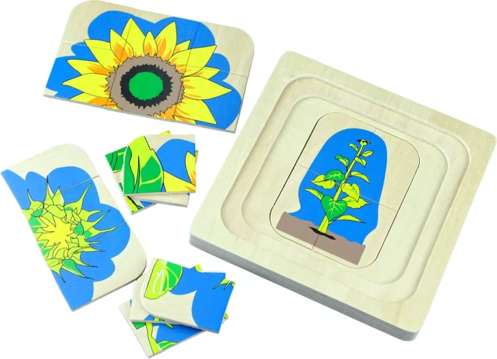Wielowarstwowe drewniane puzzle Cykl życia kwiatu