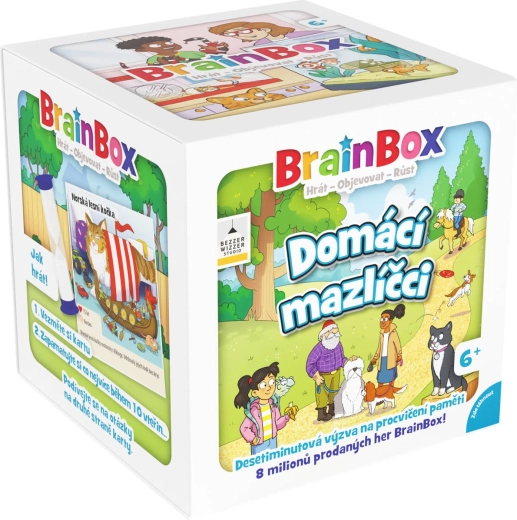 Asmodee BrainBox zwierzęta domowe