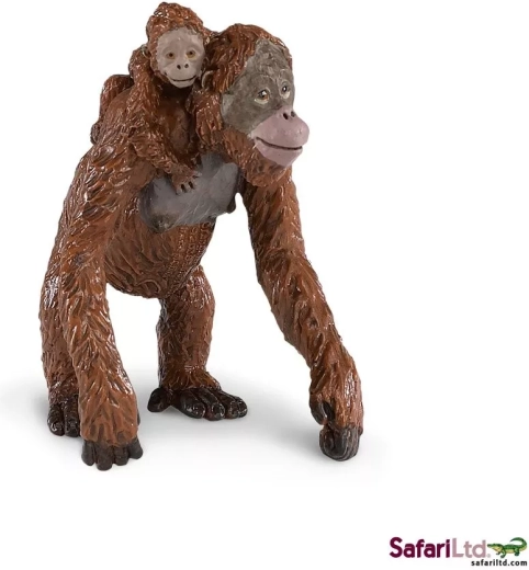 Orangutan z młodym