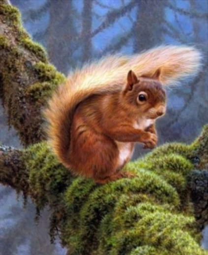 Malowanie diamentowe – wiewiórka na gałęzi 30 × 40 cm