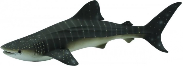 CollectA Rekin wielorybi