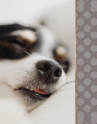 Album fotograficzne CONCORDE na 64 zdjęcia 10 × 15 cm