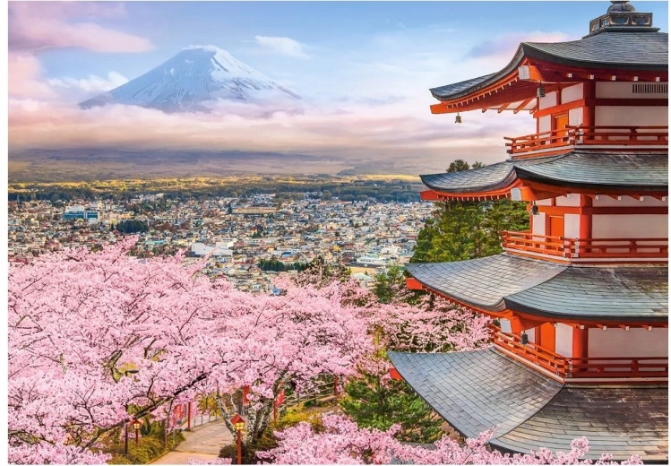 Castorland puzzle Wiosna w Japonii 500 elementów
