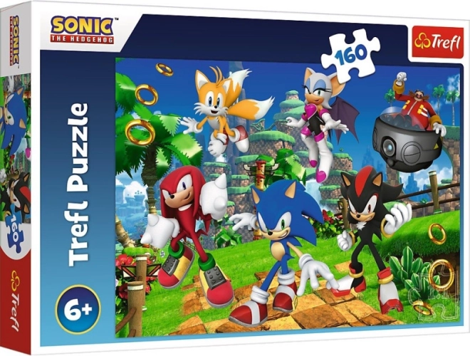 Puzzle Sonic i przyjaciele 160 elementów