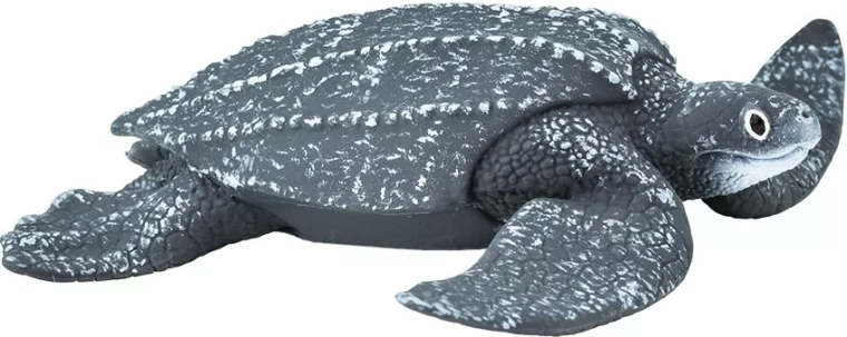 Żółw skórzasty Safari Ltd. - 1 sztuka