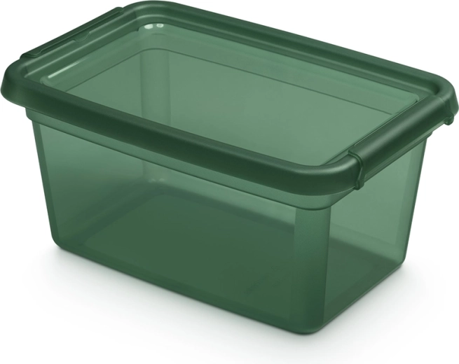 Basestore pudełko do przechowywania z pokrywą i klipsami PINE 4,5 l