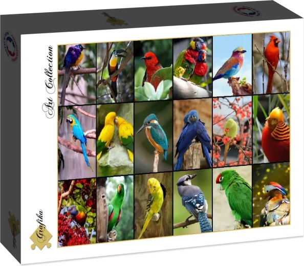 Puzzle Grafika Najpiękniejsze ptaki świata, 1500 elementów