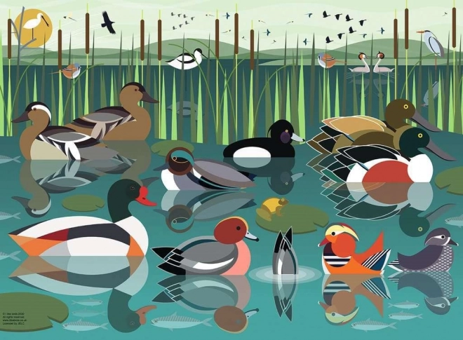 Ravensburger puzzle Lubię ptaki wodne 500 elementów