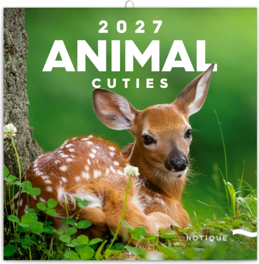 Kalendarz ścienny z miejscem na notatki Szczenięta 2027, 30 × 30 cm