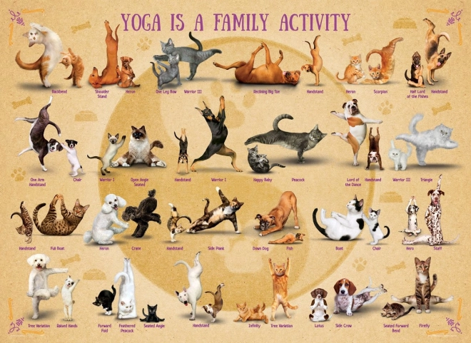 Puzzle Joga XL 500 elementów