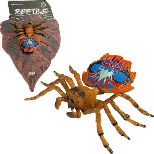 Żywa przyroda: realistyczny model pająka pawiego (peacock spider) 10 cm