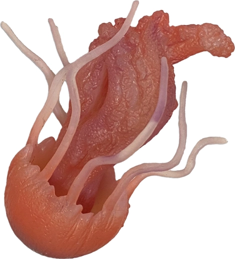 Gumowa meduza 10 cm – zabawka do wanny i basenu