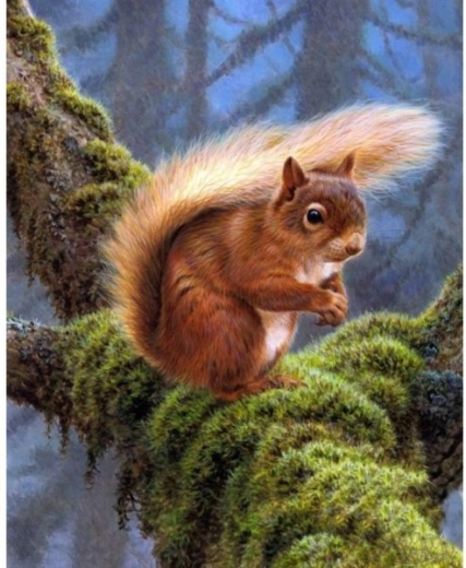 Haft diamentowy (diamond painting) wiewiórka 30 × 40 cm - 1 sztuka