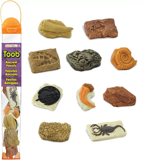 Safari Ltd. Toobs tuba skamieniałości