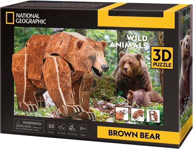 Puzzle 3D Zagrożone zwierzęta – niedźwiedź brunatny