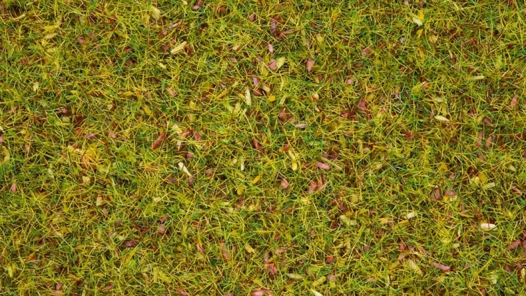 Noch trawa statyczna kwitnąca łąka 2,5 mm