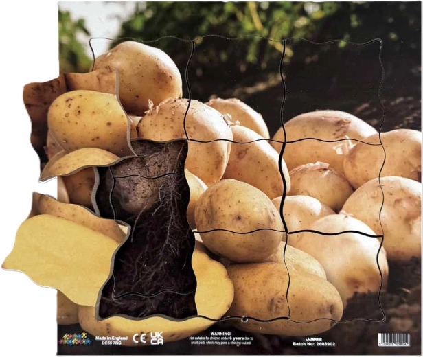 Just Jigsaws Ziemniak i jego wegetatywne fazy wzrostu – drewniane puzzle warstwowe, 19 elementów
