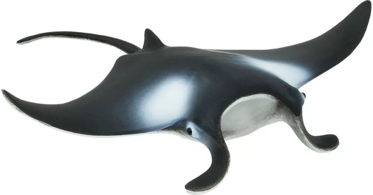 Figurka manty olbrzymiej Safari Ltd. – 1 sztuka