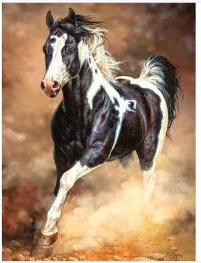 Norimpex Malowanie po numerach Koń galopujący w piasku 40 × 50 cm