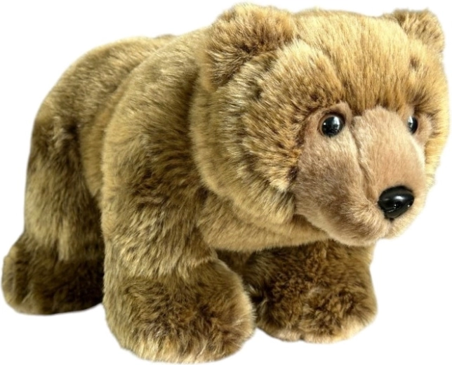 Pluszowy niedźwiedź brunatny stojący 36 cm - 1 sztuka