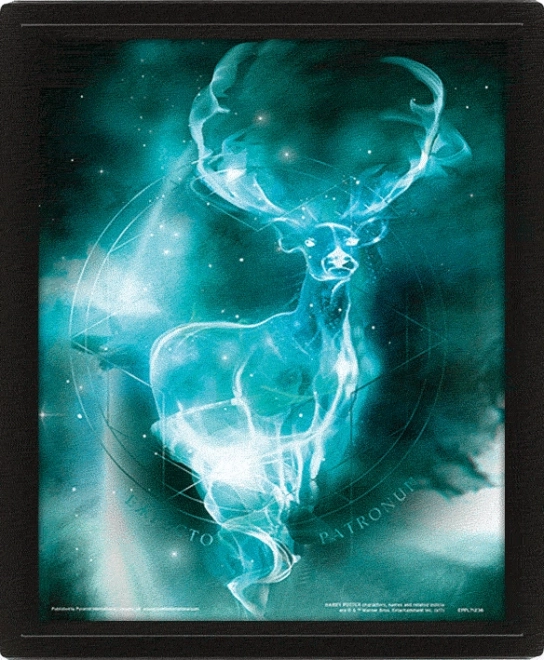 Obraz 3D Harry Potter - Patronus