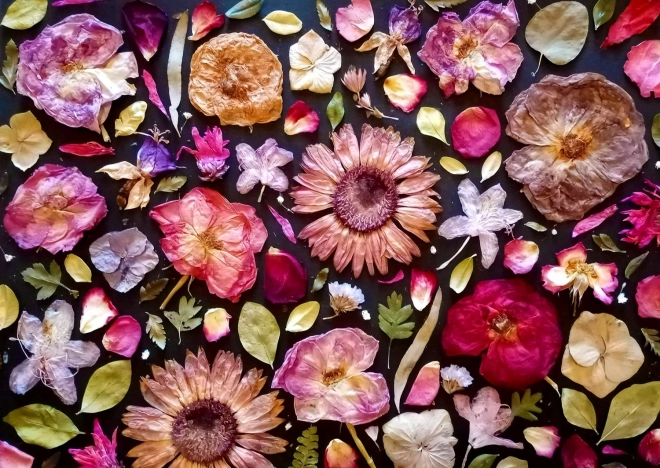 Ciesz się puzzle różowe 1000 elementów