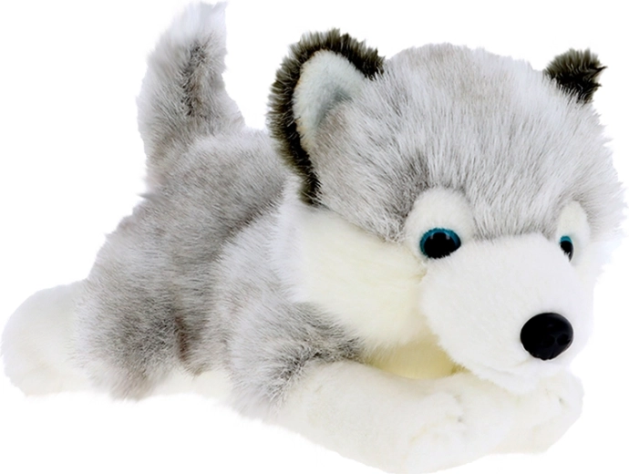 Pluszowy szczeniak husky 30 cm KEEL TOYS Signature Forever