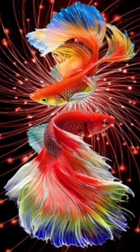 Diamentowe malowanie Czerwone rybki 30 × 40 cm