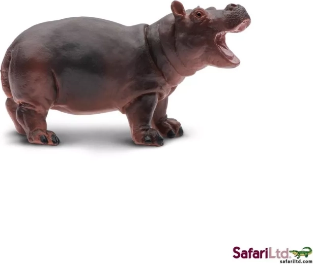 Młode hipopotama Safari Ltd. - 1 sztuka
