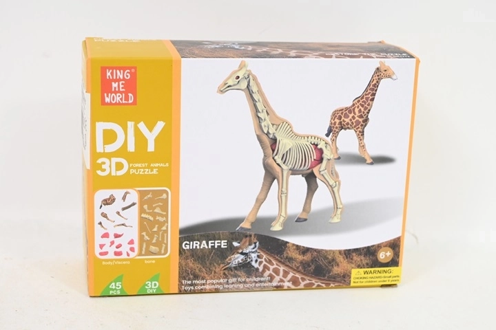 Model anatomiczny żyrafy
