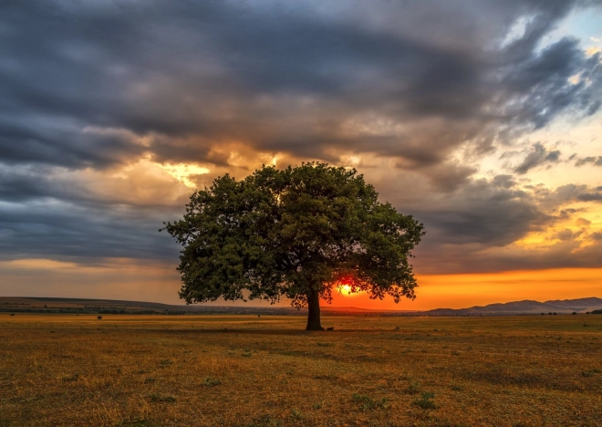 Puzzle Zmierzch 1000 elementów ENJOY